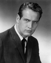 Paul Newman stunning studio portrait in suit and tie circa 1950's 8x10 photo