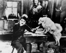 The Gold Rush Charles Chaplin eats bone with dog Black Larsen 8x10 inch photo