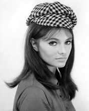 Jacqueline Bisset classic 1967 studio portrait wearing trendy cap 8x10 photo