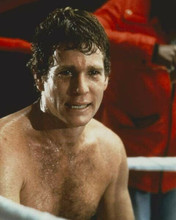 Ryan O'Neal sits in ringsider corner 1979 The Main Event 8x10 inch photo