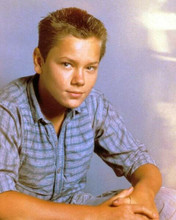 River Phoenix 1986 portrait in casual shirt for Stand By Me 8x10 inch photo