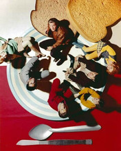 Land of the Giants the Little People on a plate with giant toast 8x10 inch photo