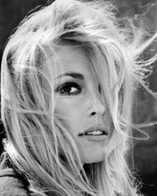 Sharon Tate striking portrait with hair partially covering face 8x10 inch photo