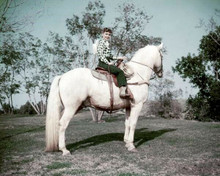 Debbie reynolds 1950's pose sitting atop white horse 8x10 inch photo