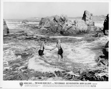My Blood Runs Cold original 8x10 photo Joey Heatherton Troy Donahue on beach