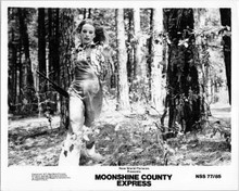 Moonshine County Express 1977 original 8x10 inch photo Claudia Jennings on run