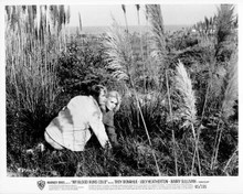 My Blood Runs Cold Joey Heatherton Troy Donahue hide out original 8x10 photo
