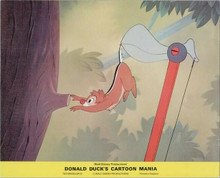 Donald Duck's Cartoon Mania original 1978 8x10 lobby card squirrel