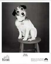 Frasier TV series 1997 original 8x10 photo Moose as Eddie the dog