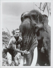 Jock Mahoney as Tarzan with elephant original 8x10 photo Tarzan Goes To India