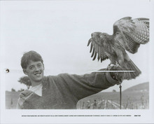 Matthew broderick original 1985 8x10 photo Ladyhawke with hawk on arm