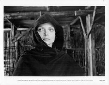Michelle Pfeiffer 1985 Ladyhawke original 8x10 inch photo in black cape