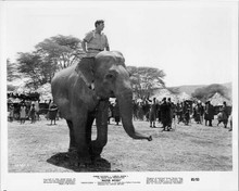 Mister Moses 1965 original 8x10 inch photo Robert mitchum on elephant