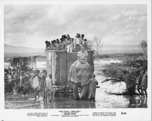 Mister Moses Robert Mitchum on elephant leads way Carroll Baker original 8x10
