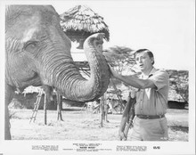 Mister Moses Robert mitchum strokes elephant trunk original 8x10 inch photo