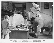 Mister Moses Robert Mitchum sits atop elephant in factory original 8x10 photo