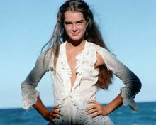 Brooke Shields in torn white dress posing on beach The Blue Lagoon 8x10 photo