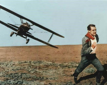 Cary Grant runs from crop duster biplane in desert North by Northwest 8x10 photo