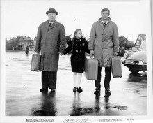 Monkey in Winter original 8x10 inch photo Jean Gabin Jean-Paul Belmondo Citroen