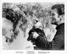 Tale of the Cock 1967 8x10 inch original photo Linda Evans Don Murray