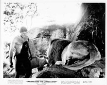 Tarzan and the Jungle Boy 8x10 inch original photo Mike Henry and lion