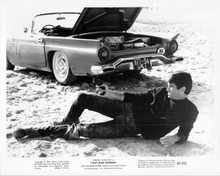 That Man George 8x10 inch original photo George Hamilton in desert with car