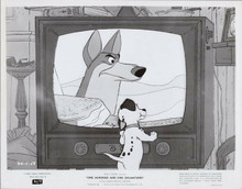 One Hundred and One Dalmatians original 1961 8x10 photo dalamtion looks at TV