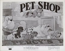 One Hundred and One Dalmatians original 1969 8x10 photo dogs in pet shop window