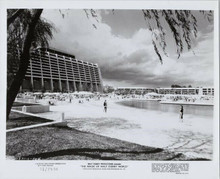 The Magic of Walt Disney World original 1972 8x10 photo Disney hotel