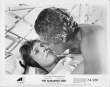 The Tamaarind Seed 1974 original 8x10 inch photo Julie Andrews Omar Sharif
