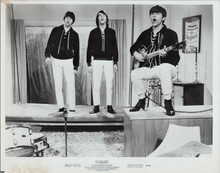 The Animals pop group sing original 1967 8x10 photo It's A Bikini World