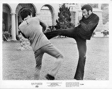 That Man Bolt 8x10 inch original photo Fred Williamson in fight scene