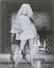 Virna Lisi original 8x10 photo full length pose in short wedding dress