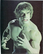 The Incredible Hulk original 8x10 color photo from TV series Lou Ferrigno