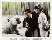 Wild and Wonderful 1964 original 8x10 photo Tony Curtis Christine Kaufman