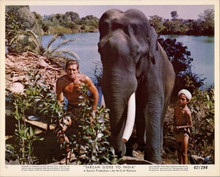 Tarzan Goes To India original 8x10 lobby card Jock Mahoney & elephant by river