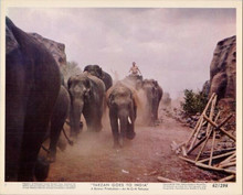Tarzan Goes To India original 8x10 lobby Jock Mahoney atop elephant on stampede