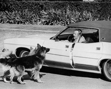 Jack Lemmon drives Ford Ltd alastian dogs look on Prisoner of Second Avenue 8x10