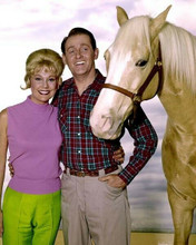 Mr Ed TV series Connie Hines arm around Alan Young with Ed 8x10 inch photo