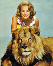 Daktari TV series smiling Cheryl Miller poses with Clarence the lion 8x10 photo