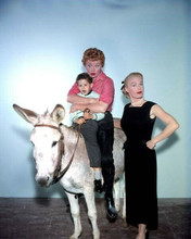 Lucille Ball makes funny face sitting on donkey 8x10 inch photo