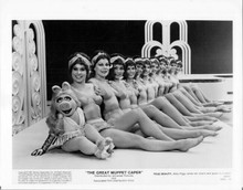 The Great Muppet Caper 1981 original 8x10 photo Miss Piggy and showgirls