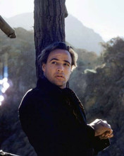 Marlon Brando charismatic pose leaning on tree One Eyed Jacks 8x10 inch photo