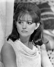 Claudia Cardinale beautiful portrait from 1966 Lost Command movie 8x10 photo