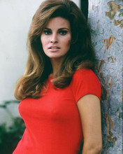Raquel Welch wears clinging red t-shirt classic 1967 pose 8x10 inch photo
