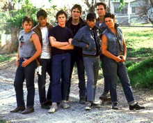 The Outsiders Greasers Estevez Lowe Howell Dillon Macchio Swayze Cruise 8x10
