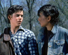 The Outsiders 1983 C.Thomas Howell & Ralph Macchio in woods 8x10 inch photo
