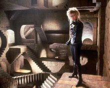 Labyrinth 1986 David Bowie as Jareth inside the magical labyrinth 8x10 photo
