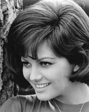 Claudia Cardinale smiling close-up portrait from 1966 movie Blindfold 8x10 photo