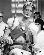 The Man Who Fell To Earth David Bowie sits in hospital chair 8x10 inch photo